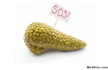 Поджелудочная железа